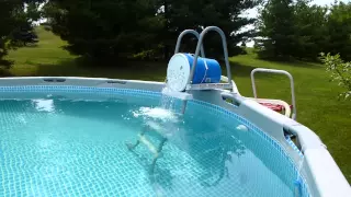 How to get iron out of pool water. Effective and cheap. Intex pool.