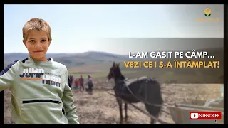 🥺 L-am găsit pe câmp! Vezi ce i s-a întâmplat❗️