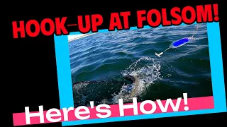 How To Fish For Folsom Lake Trout And Kings In Late Spring & Early Summer #fishing #trolling