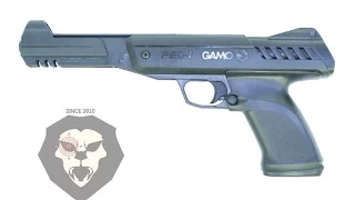 Пневматический пистолет Gamo P900. Купить popadiv10 "Техническая часть"