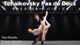 【本気バレエ #17】チャイコフスキー・パ・ド・ドゥよりアダジオ＆コーダ | Tchaikovsky Pas de Deux (Adagio and Coda)