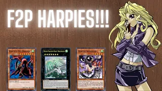 FREE TO PLAY HARPIES! F2P HARPIE DECK PROFILE | yugioh duel links decks