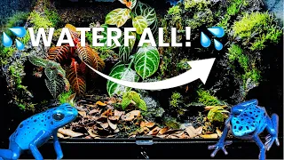 I Built A Poison Dart Frog Habitat  (With Water Fall!)