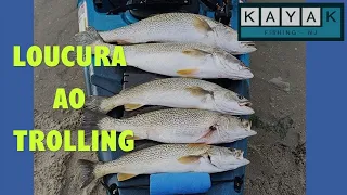 #39 – LOUCURA AO TROLLING: CORVINAS-RAINHA XXL / TROLLING MADNESS: WEAKFISH XXL