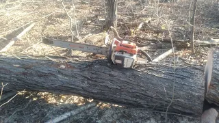 STIHL 076 AV SUPER BLOWS UP MID CUT