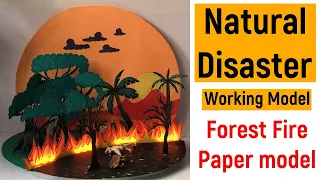 Natural disaster working model | Forest fire science project | Environmental awareness model