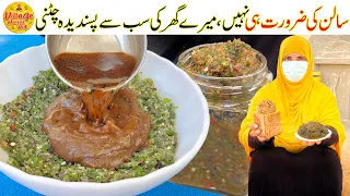 My Family's Favorite Chutney Recipe | Chatpati Payaz Pudina Chutney Recipe | Village Handi Roti