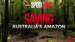 Saving Australia's Amazon - the new war about to ignite | 7NEWS Spotlight