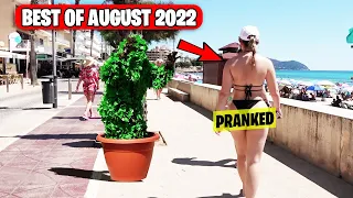 Ultimate Best of Bushman Prank Compilation August 2022!!