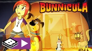 Bunnicula | Chester Locks Up Bunnicula | Boomerang UK 🇬🇧