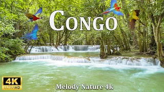 CONGO (4K UHD) Amazing Beautiful Nature Scenery with Relaxing Music | 4K VIDEO ULTRA HD