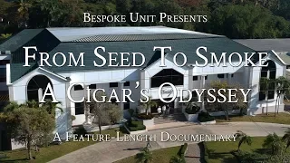 From Seed To Smoke: A Cigar's Odyssey | Davidoff Cigar Factory & Farms (How Cigars Are Made)