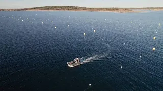 Еда будущего: водоросли накормят человечество и помогут сохранить планету…