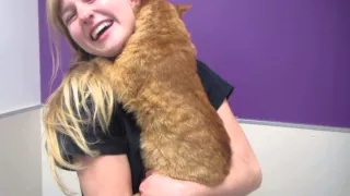 Wulfgar The Hugging Cat