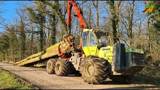 Holzernte 2022 - Forstschlepper WF Trac 2460 Stammholz rücken Sturmholz Forstwirtschaft Wood Skidder