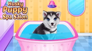 Husky Puppy Spa Salon