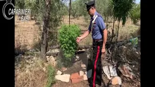 Bari, carabinieri arrestano coppia della droga