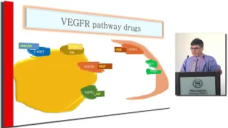 What novel therapies are on the horizon for metastatic renal cell carcinoma? 2019 and beyond