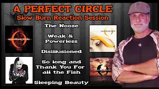 A Perfect Circle Slow Burn Reaction The Decomposer Lounge Reactions and Song Breakdown