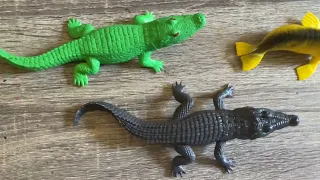 Little drawings based off of real animal toys I have🐊🦭🦈🐬