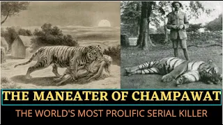 The Maneater Tiger Of Champawat I Jim Corbett I The World's Most Prolific Serial Killer  Uttarakhand