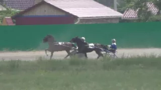 Бега-Заезд 3 лет. Абаканский ипподром 9.07.2016. НАСТАВНИК, ПУБЛИКАЦИЯ