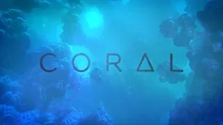 [ Coral VR ] Exploring real time fractals in virtual reality