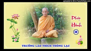 Pháp Hành 38: 12 Nhân Duyên | Trưởng lão Thích Thông Lạc