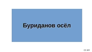 Буриданов осёл