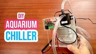 Cool Down Your Aquarium with a DIY Chiller: Step-by-Step Tutorial