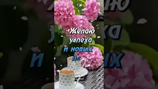 Вторник! С Добрым Утром!☕🌞🪻☘️