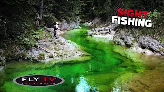 FLY TV - Sight Fly Fishing in the Alps 🇦🇹