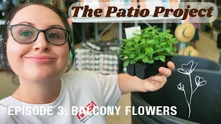 The Patio Project Episode 3 - Floral Friends