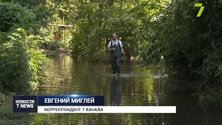 Амазонка в одесском дворе: как выживают люди на ул. Церковной