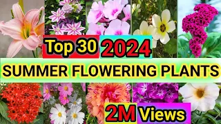 30 Summer Flower Plants | Flower Plants for Summer Blooming | Summer Flowers | Plant and Planting