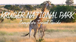 Complete Travel Guide Kruger National Park - a guide to explore the famous park in South Africa