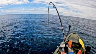 Offshore Kayak Fishing for MONSTERS Out Deep! || #FieldTrips Panama