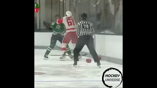 Red Wings vs. Stars hard hit & fight @TCPT #shorts