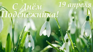 С Днём Подснежника! 19 апреля. Музыкальная открытка. Поздравление. Музыка Сергея Чекалина.