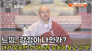 [반야32] 느낌, 감정이 곧 나인가? 내가 우울한 것이 아니라 우울이 왔다 갈 뿐