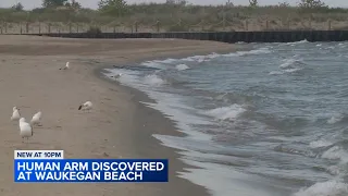 Human arm found on Waukegan beach, may be linked to missing WI student