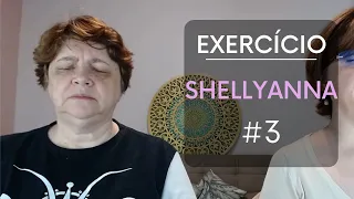 Exercício Shell Y Ann #3