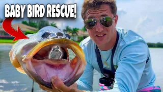 This pond has HUGE BASS!! Insane fish…