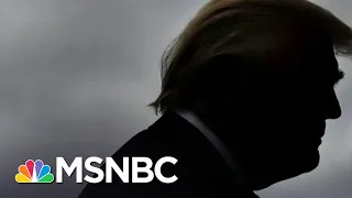 Trump Echoes Segregationist George Wallace On Race In America | The 11th Hour | MSNBC