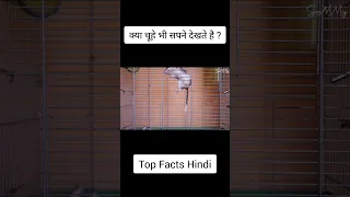 Interesting Facts हिंदी 😱 Part - 2