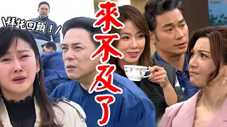 天道│EP242 朝遠索命運金遭靜玉哭喊求爸回頭！均楠子茜感情大升溫氣瘋胡蝶 Fight For Justice│Vidol