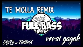 DJ Te Molla Remix Full Bass Versi Gagak