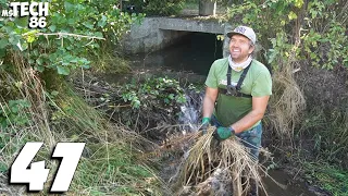 Manual Beaver Dam Removal And Unclogging Culvert No.47