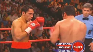 Oscar De La Hoya vs Felix Sturm|highlights