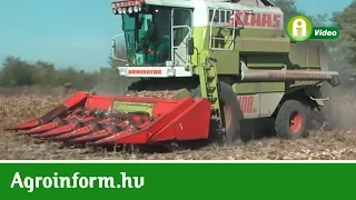 CLAAS Dominator Maxi széria